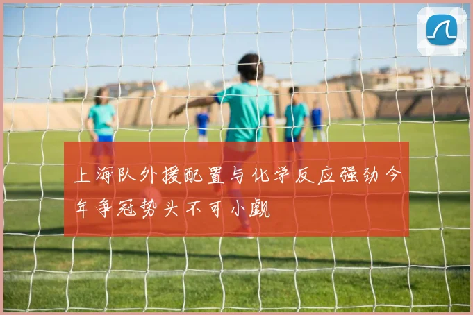 上海队外援配置与化学反应强劲今年争冠势头不可小觑